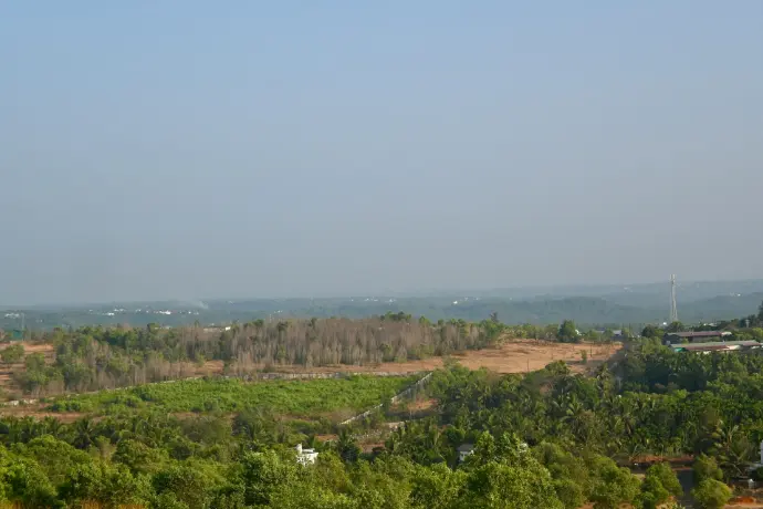 a view of a valley with trees in the foreground